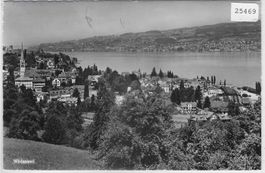 Wädenswil - Generalansicht