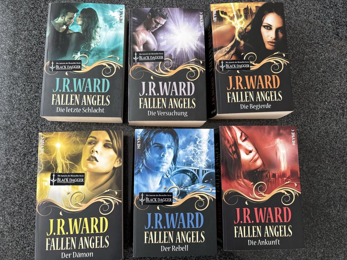 Libri: Fallen Angels komplette Reihe – Usato da Belpberg venduto da Ranukel
