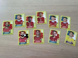 Stickers panini 