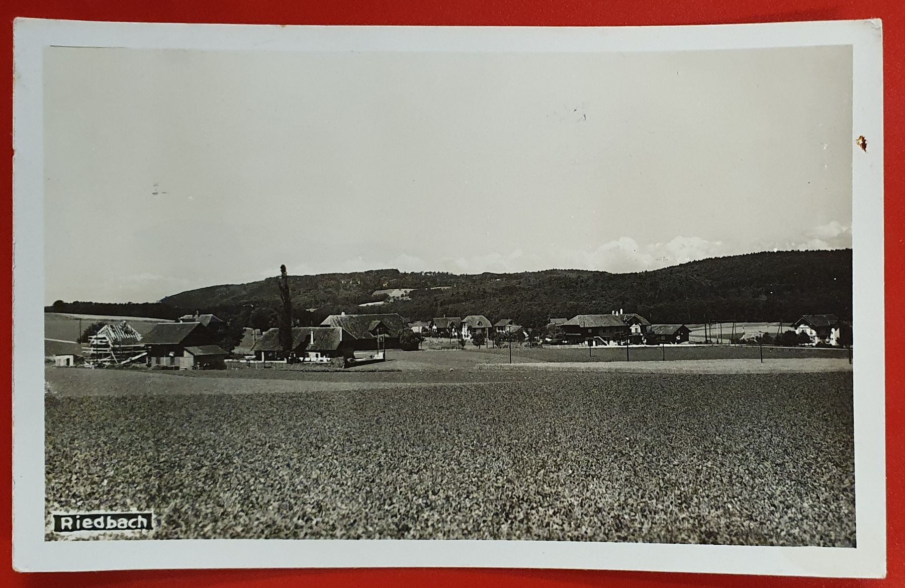 Ansichtskarten: Riedbach BE – Gebraucht aus Kreuzlingen von Rschweiz1