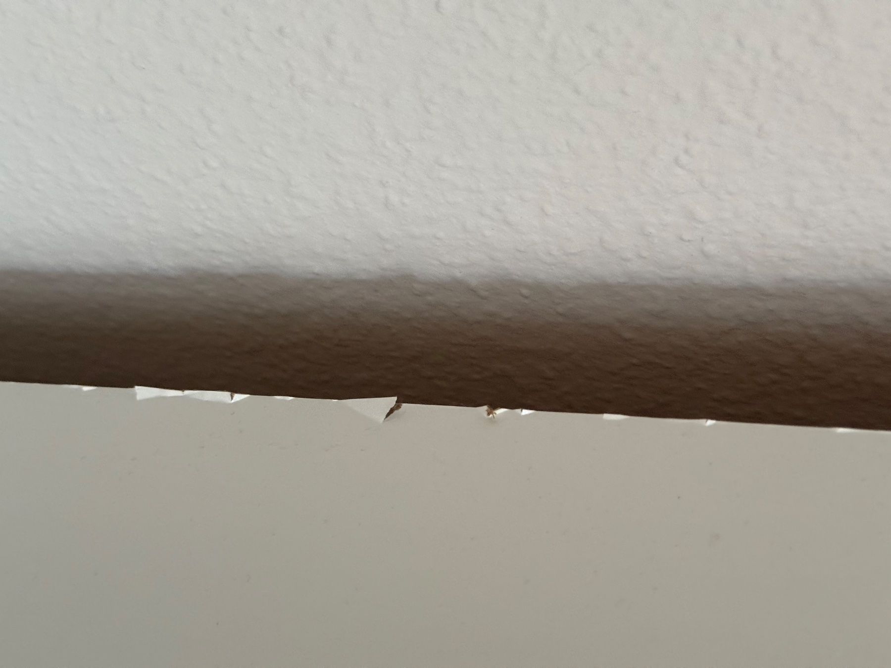 Ikea Schränke: Kleiderschrank weiss – Gebraucht aus Basel von mag_j9mf 6