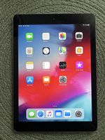 Apple iPad Air 16GB grau gebrauchter Zustand