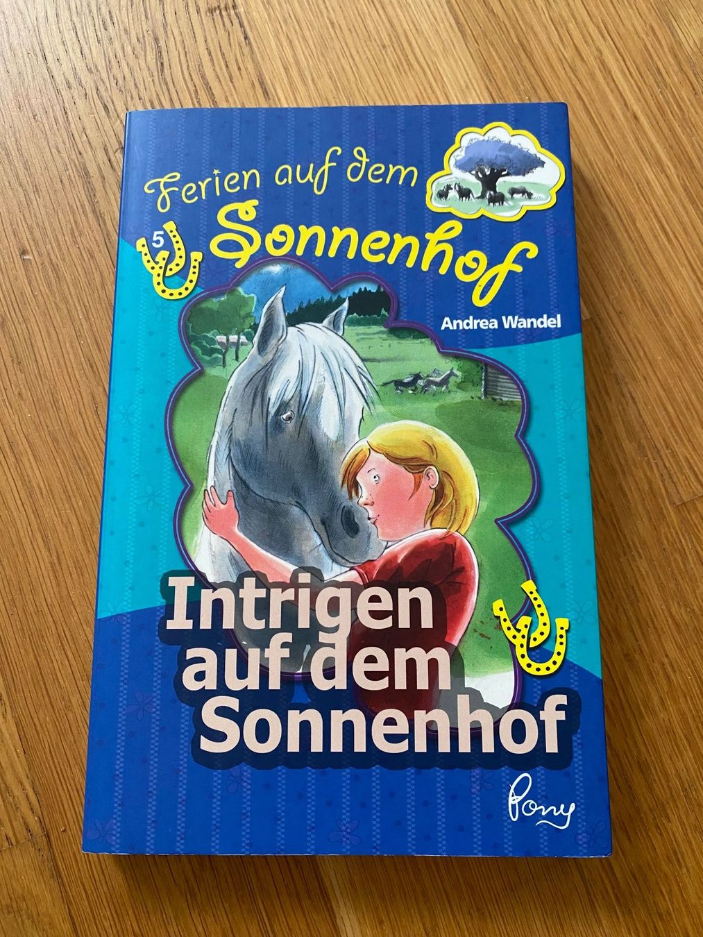 Libri: Buch "Ferien auf dem Sonnenhof" – Nuovo (secondo la descrizione) da Riedholz venduto da lenibeni03