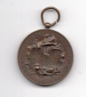 (628)  Festa Federale, Lugano 1894, Top stgl, Relief