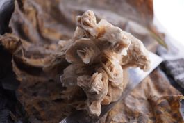 Sand Rose    Rohstück    80mm     Sahara