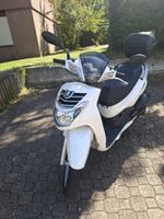 Top 125ccm Roller Peugeot LXR wenig Km! Service am 07.05.26