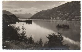 ISELTWALD am Brienzersee