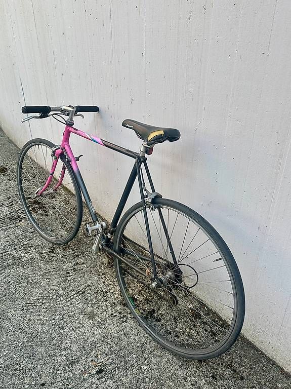 Koga Biciclette: KOGA Cityrenner – Usato da Bern venduto da Schoent 2