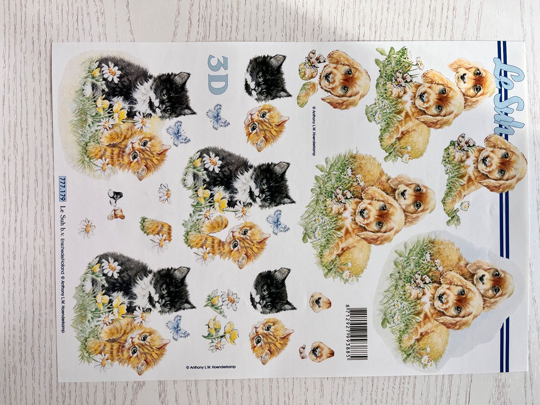 Kit bricolage: 1 Set Kartenbögen mit 10 Tier Designs – Nuovo e nell'imballaggio originale da Büsserach venduto da bor_s88m 9