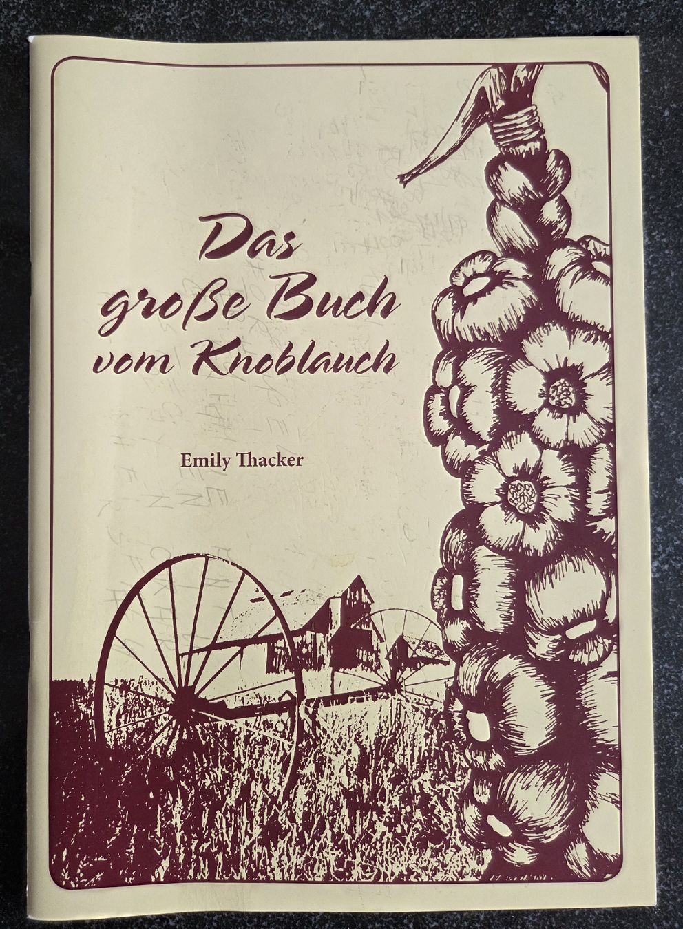 Libri: Fachbücher Knoblauch, Zitrone, Ingwer Kochbuch – Usato da Klingnau venduto da Groofty69 1