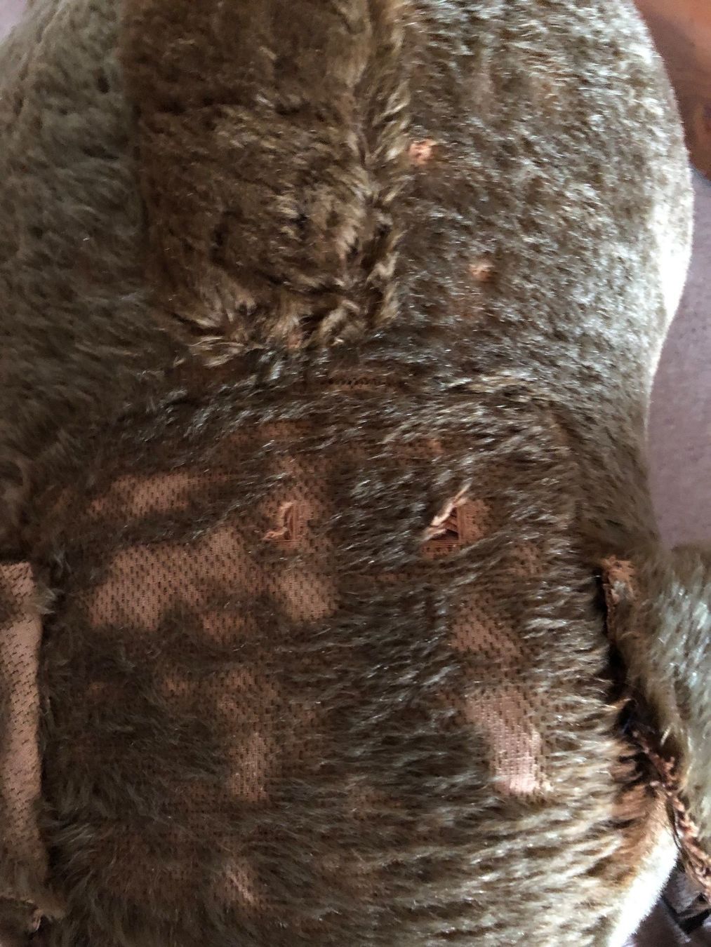 Steiff Giocattoli: Grosser alter Steiffbär auf Rädern – Usato da Engelburg venduto da vgr_2kyp 3