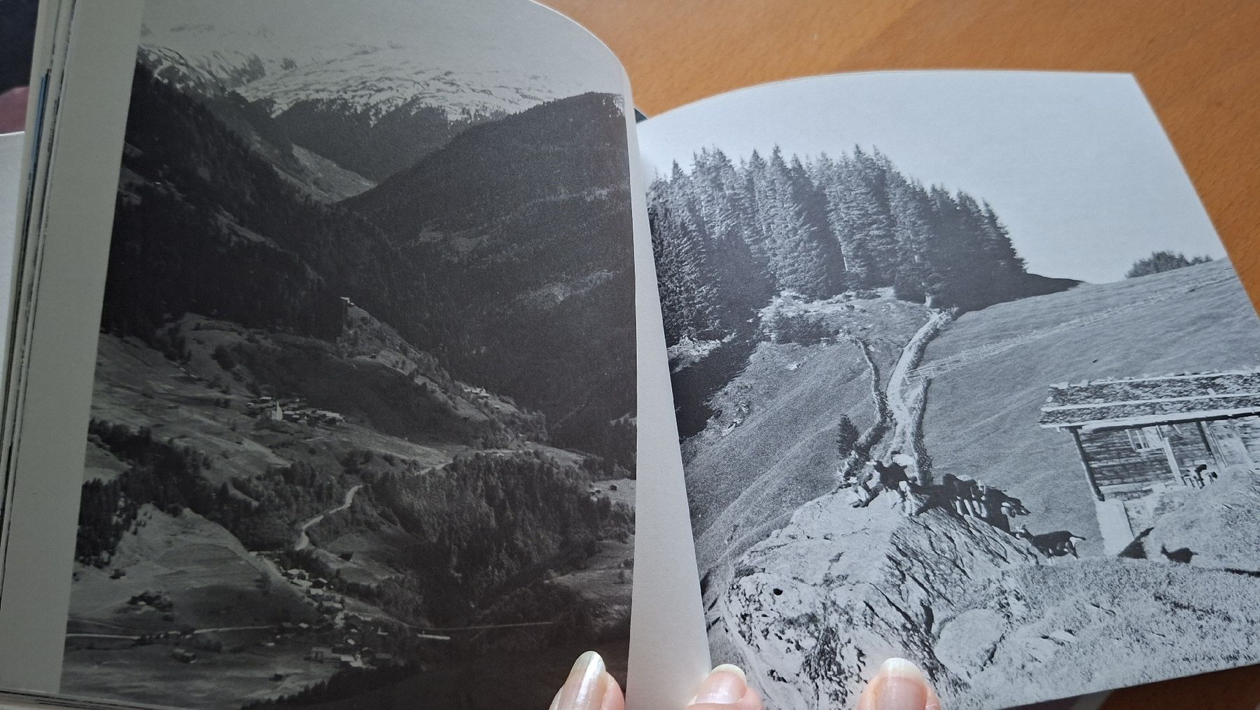 Libri: Surselva Büchlein von 1972 – Usato da Affoltern am Albis venduto da Nunni 1