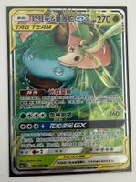 Pokemon Venusaur & Snivy GX Tag Team Chinese