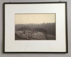 🟡Fotografie vergangene Zeit 70er  Reis Terrassen ASIATICA