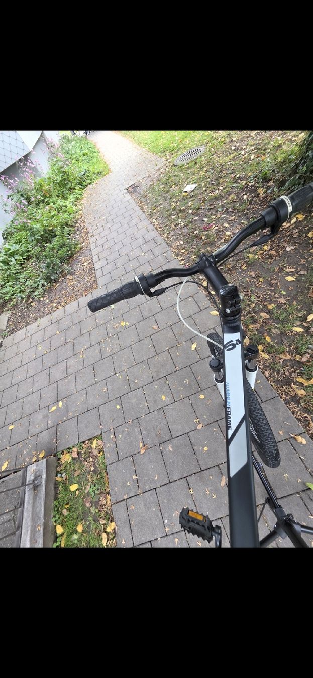Biciclette: Rockrider  – Usato da Fahrweid venduto da erz_b7wb 5