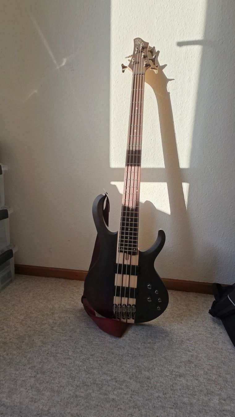 Ibanez Strumenti musicali: Ibanez BTB605 TGF (5 String) – Nuovo (secondo la descrizione) da Zürich venduto da Rakunyo