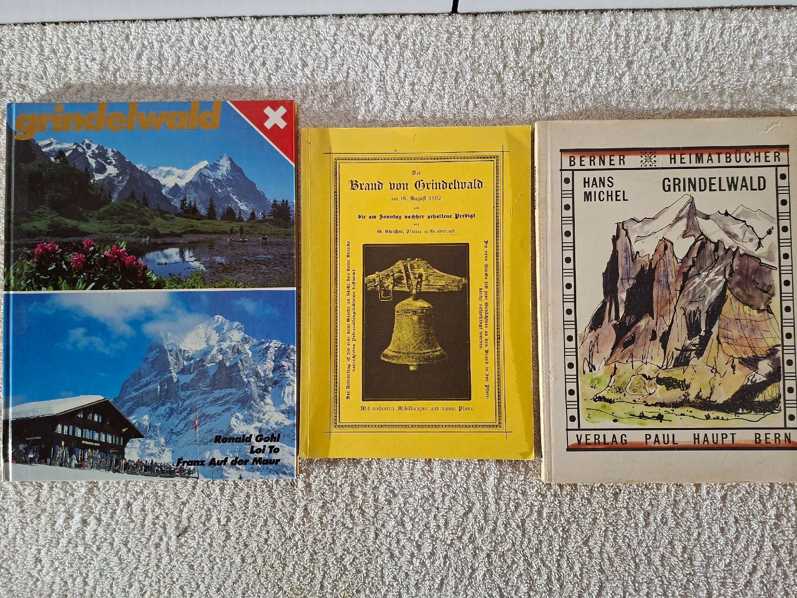 Libri: 3 Büchlein Grindelwald – Usato da Grindelwald venduto da carro5