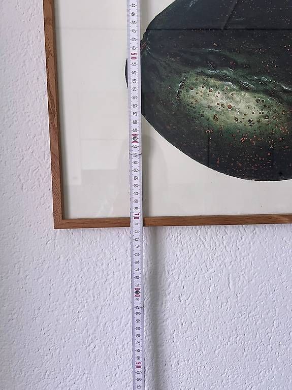 Foto & Immagini: Avocado Bild inkl. Holzrahmen – Usato da Zürich venduto da Miiau101 1