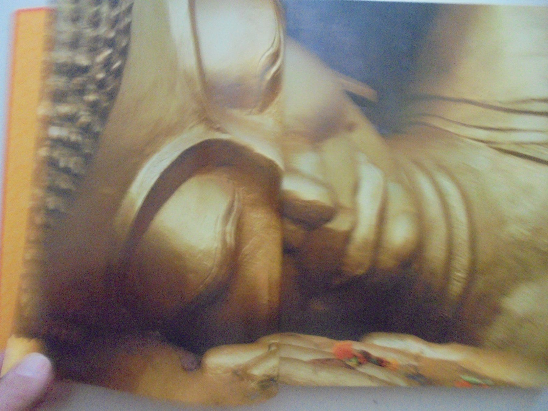 Libri: " Bouddha " par José Frèches. 320 pages, comme neuf – Usato da Eclépens venduto da Consuelo 3
