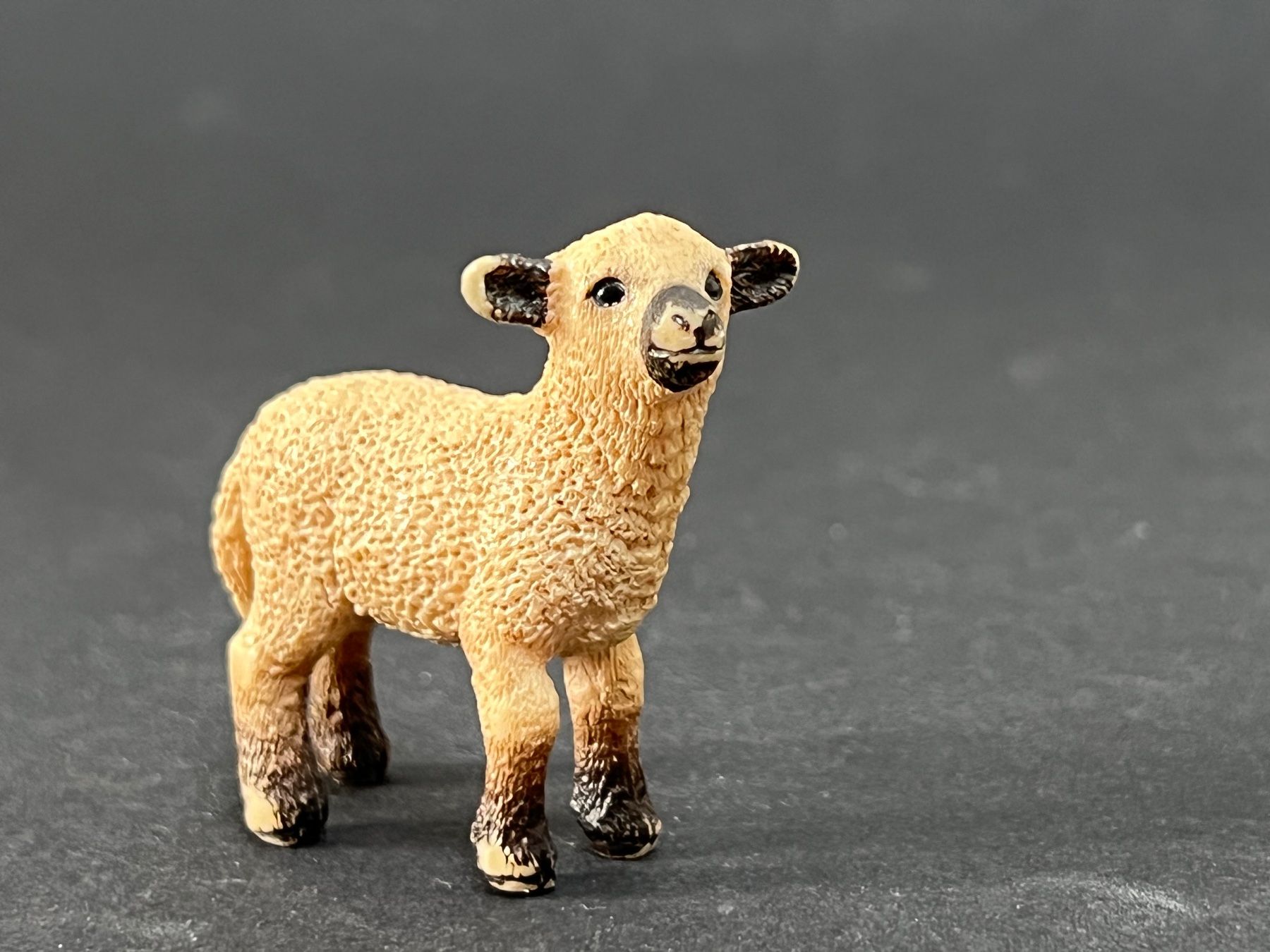 Schleich Figuren: Schleich 13681 Shropshire Schaf – Gebraucht aus Ennetbaden von mapa05 5