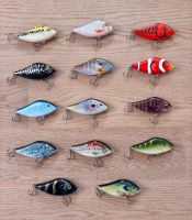 Jerkbait Wobbler, Neu, Perfekt für Hecht und Zander