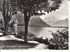 Chillon 1950