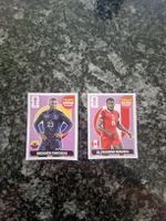 Panini Extrasticker