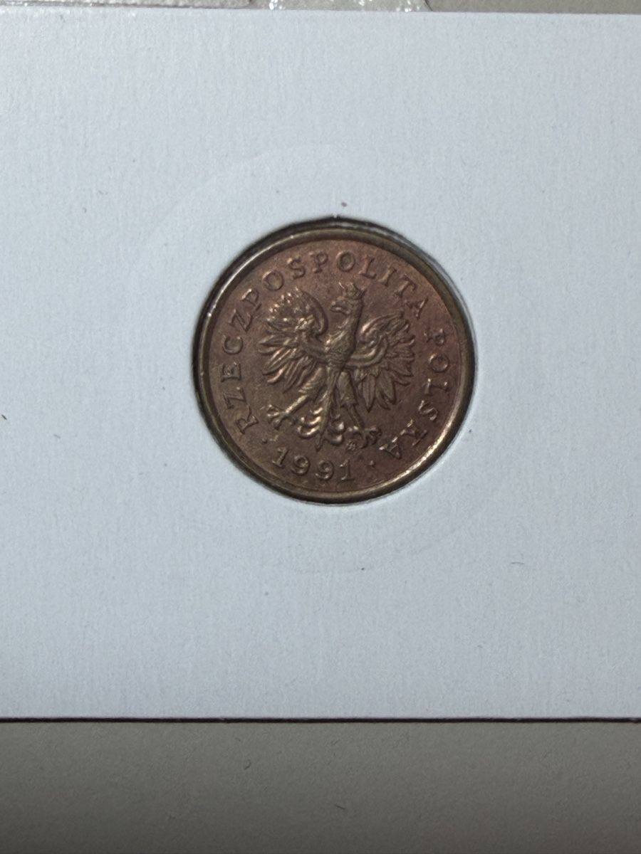 Tutti le monete: Pologne - 5 groszy - 1991  – Usato da Payerne venduto da Mike1682 1