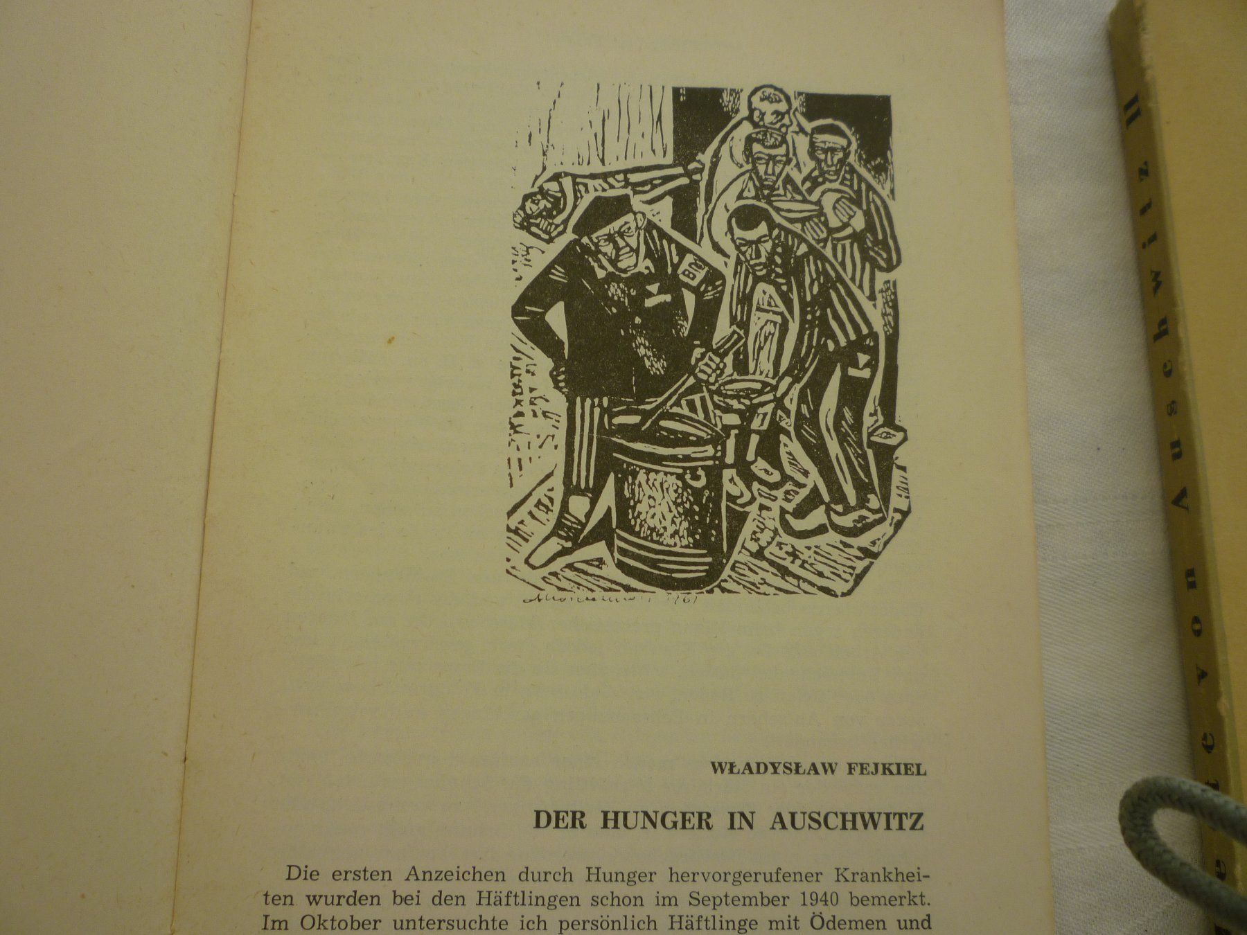 Libri: 2 dokumentationen auschwitz – Usato da Langnau am Albis venduto da Molosser 3