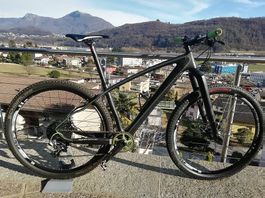 MTB Hardrocx Psycho Volante 29, 16.5