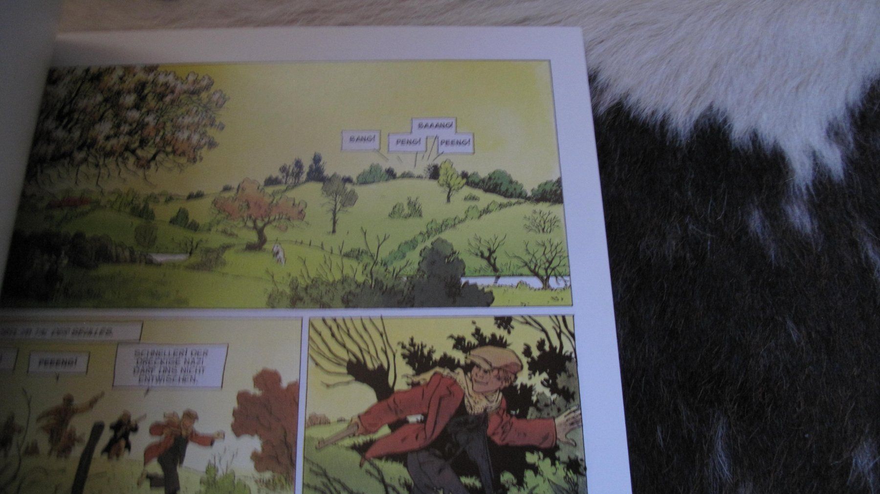 Comics: Mandrill (2)/ Band:6 - 1Aufl.2001 – Gebraucht aus Berg TG von Volker-Kampfgarten 2