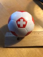 Schweizer Nati Mini Ball