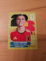 Panini WM 2026 BEL 18
