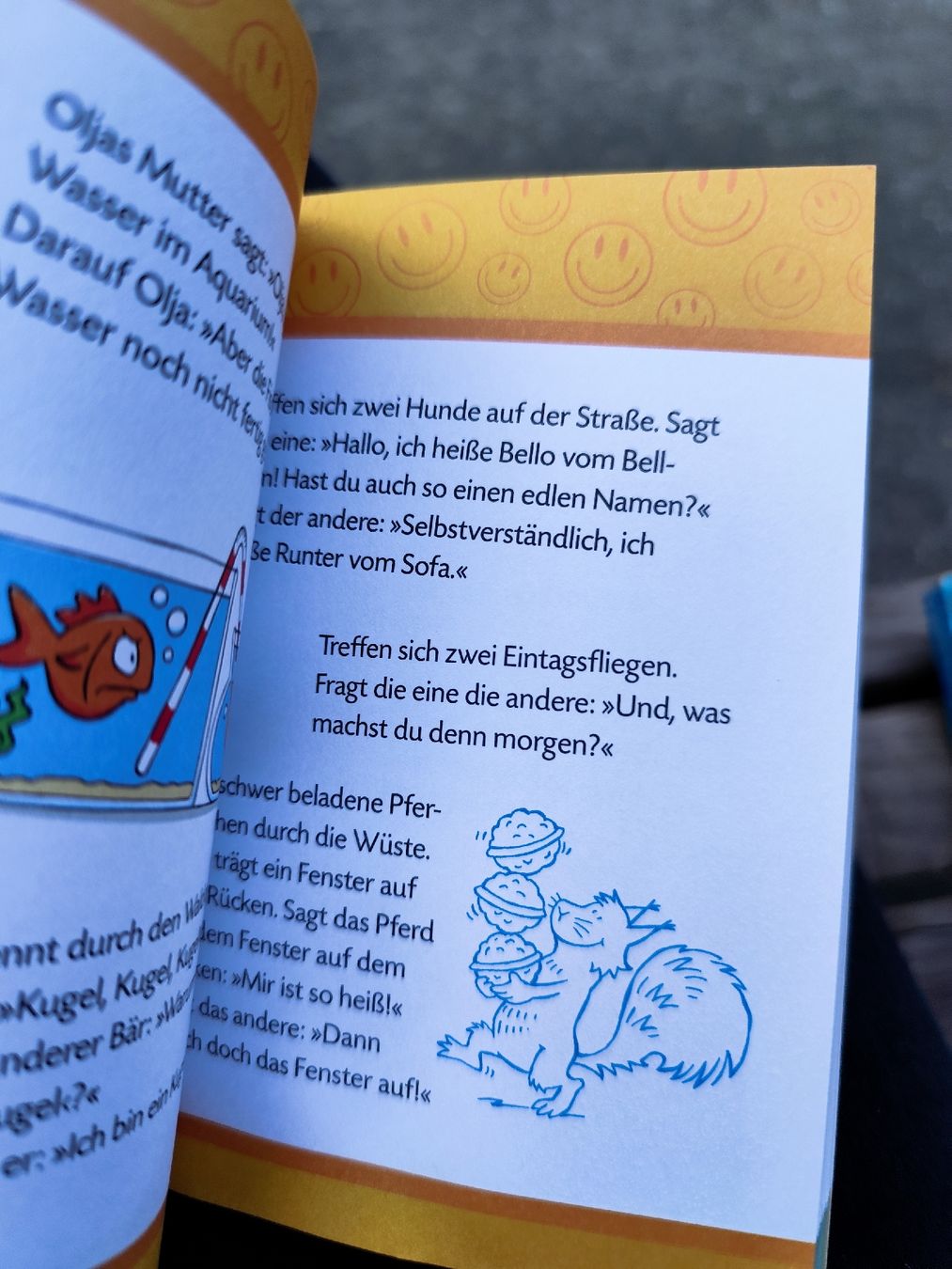 Libri: Mein dickes Witzebuch Jokes Arsedition – Usato da Mägenwil venduto da VintageGirly 4
