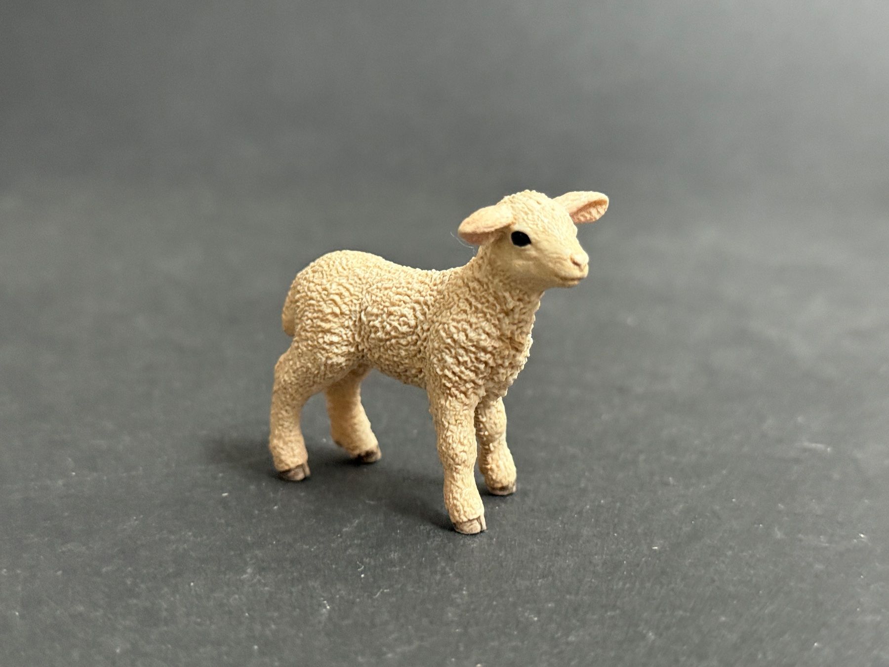Schleich Statuette: Schleich Schaf mit Lamm Familie – Usato da Ennetbaden venduto da mapa05 4