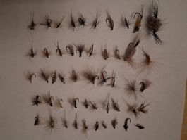 50 Stück Trockenfliegen, Gratis Versand!!!!!