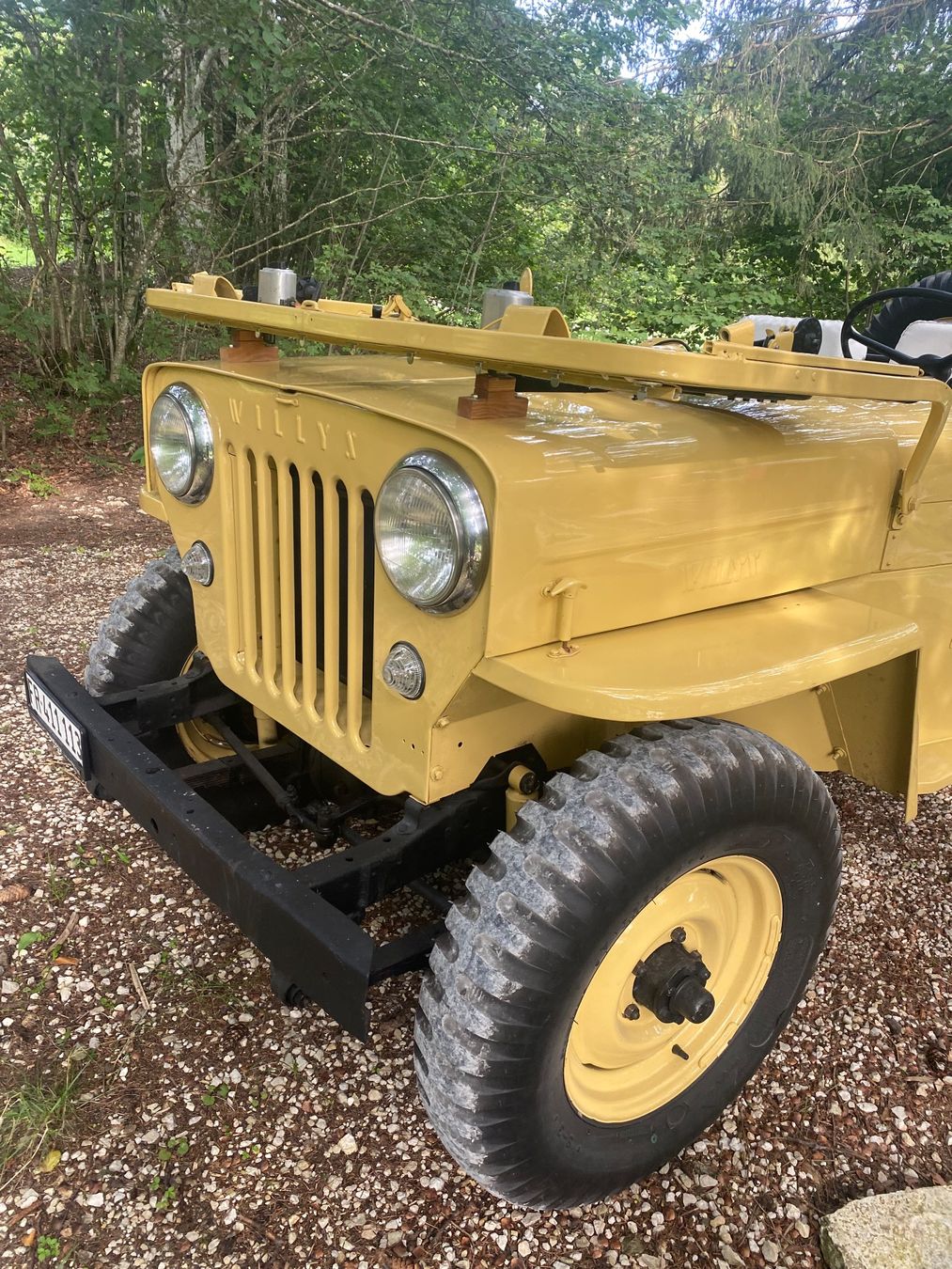 Jeep Automobili: Jeep Willys – Usato da Wünnewil venduto da lihma 4