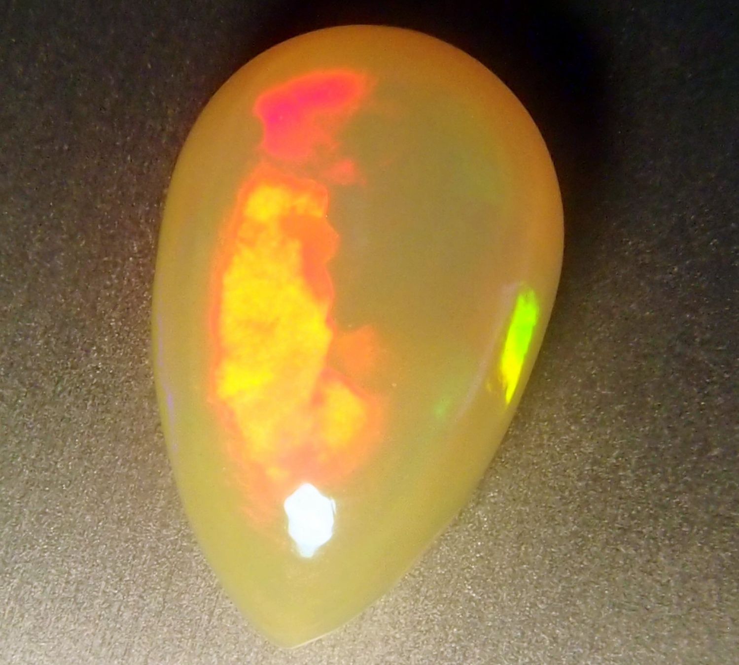Pietre preziose: 4,5 ct. Top-funkelnder WELO-Feueropal! Intensive Funken – Nuovo e nell'imballaggio originale da Reinach BL venduto da Marblue 4