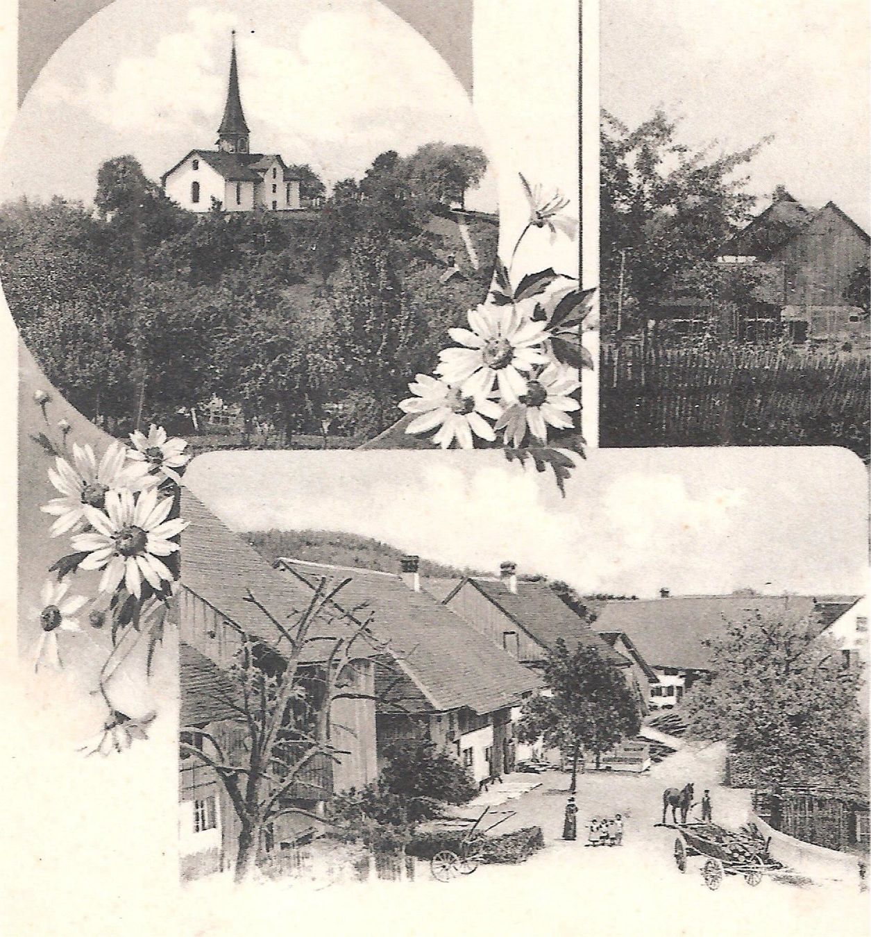 Cartoline postali: 11.5.1903 3-Bild "Gruss aus Wytikon" Leute – Usato da Zürich venduto da Hagliweg
