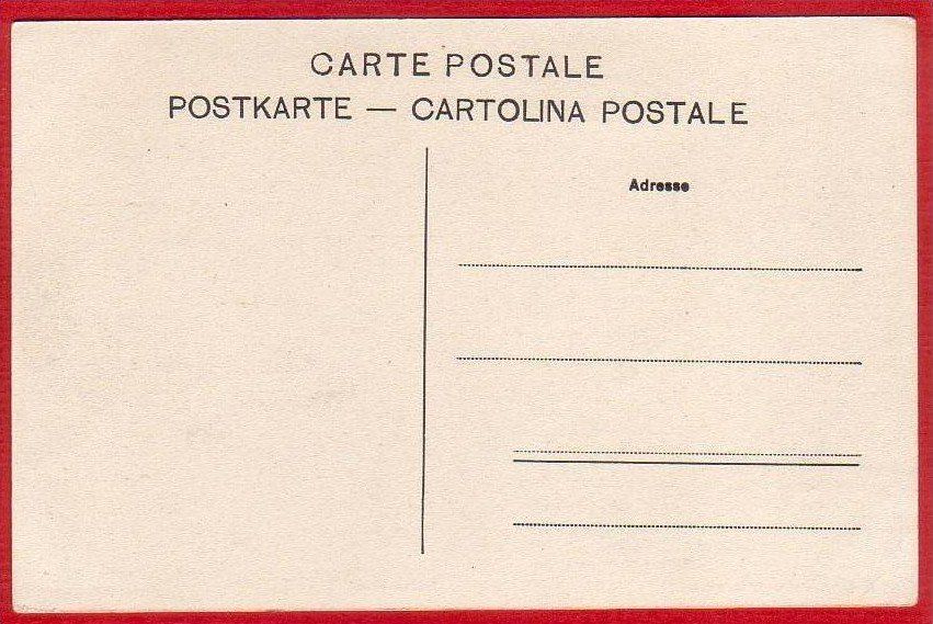 Cartoline postali: FEUSISBERG, LICHTDRUCK – Usato da Grüningen venduto da Kartenlaube 1