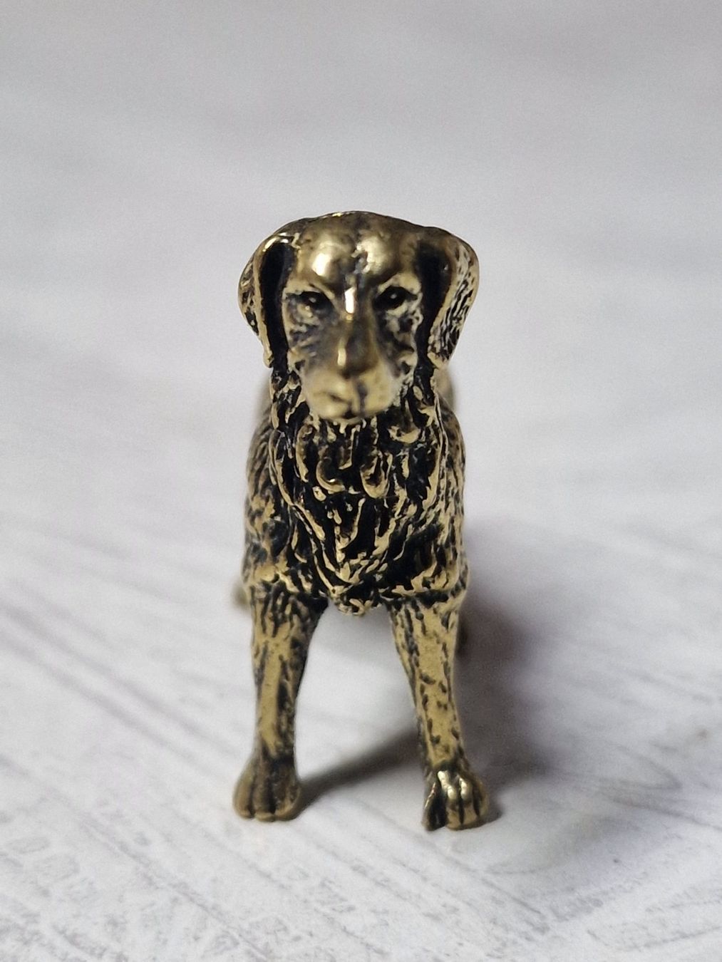 Statuette: Schäferhund aus messing – Nuovo (secondo la descrizione) da Uerkheim venduto da Justi.y