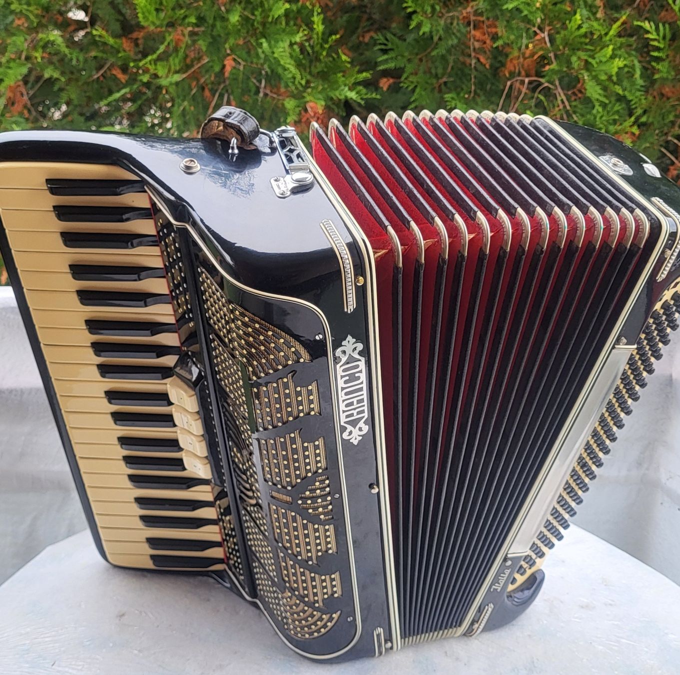 Strumenti musicali: Accordéon Ranco Antonio – Usato da Penthalaz venduto da EvandroLuz 2