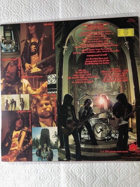 Dischi in vinile: Brownsville Station – Usato da Aarwangen venduto da Jukebox3 2