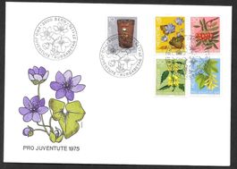 FDC Pro Juventute Serie 1975 J252-J256 Marken viel näher ET