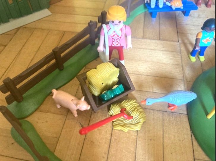 Playmobil Teich und Tiere Kaufen auf Ricardo