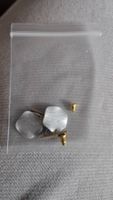 Orecchini argento-oro (bigiotteria)
