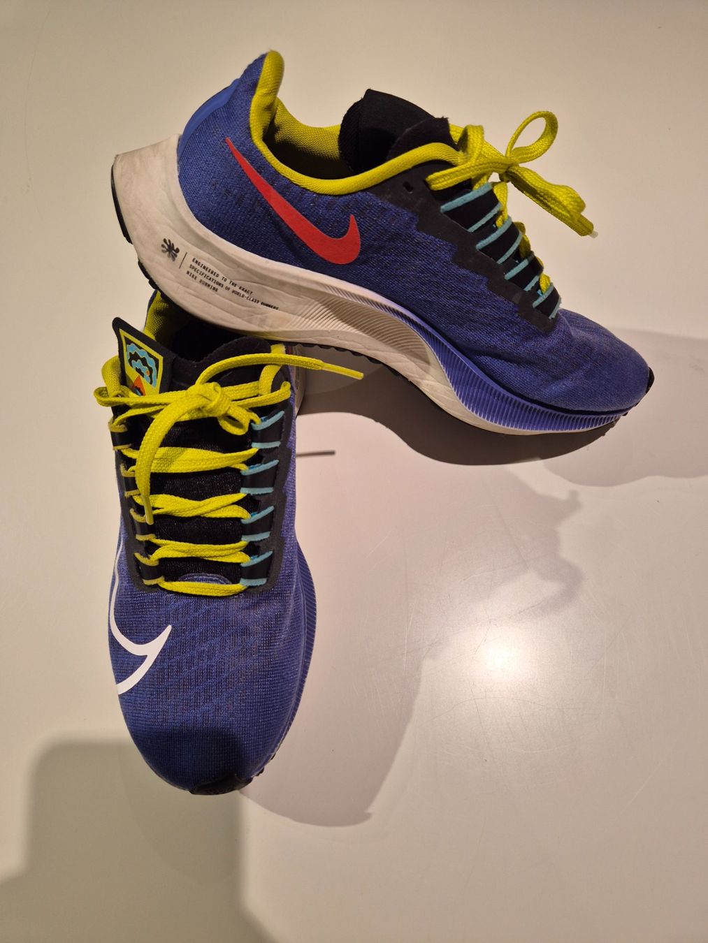Nike Scarpe da uomo: Basket Nike – Usato da Valeyres-sous-Montagny venduto da Romy.
