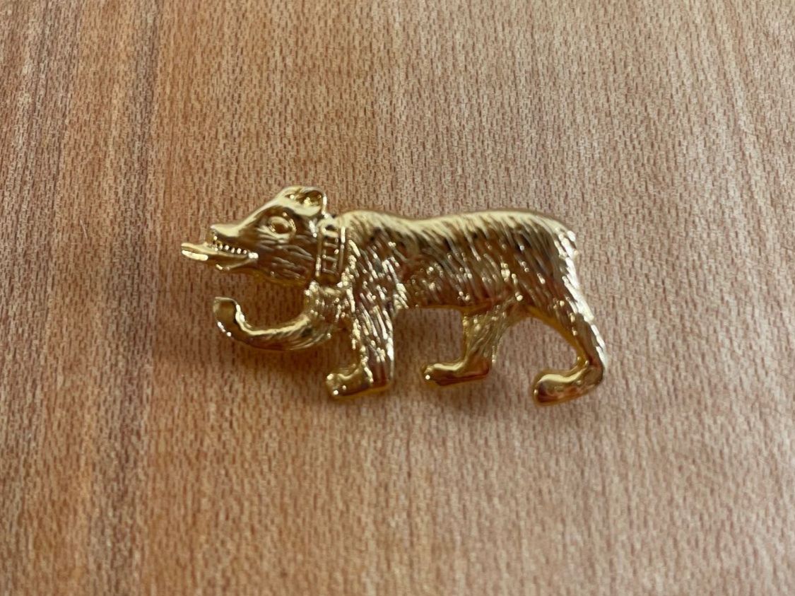 Spille & Fermagli: Brosche Bär Gold-farbig aus Metall – Usato da Köniz venduto da kupu-kupu