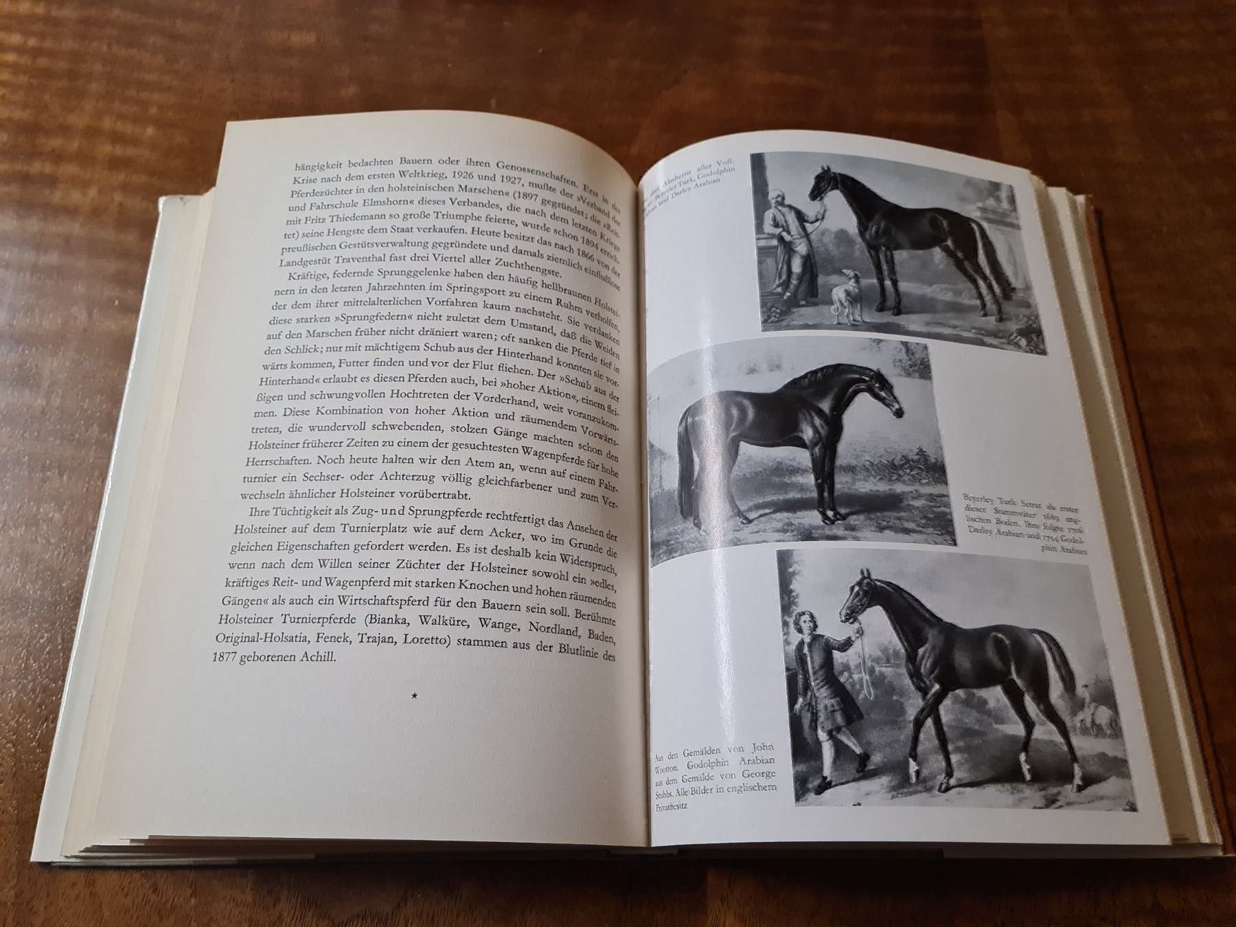 Libri: Über Pferde – Usato da Erstfeld venduto da Uhu1980 2