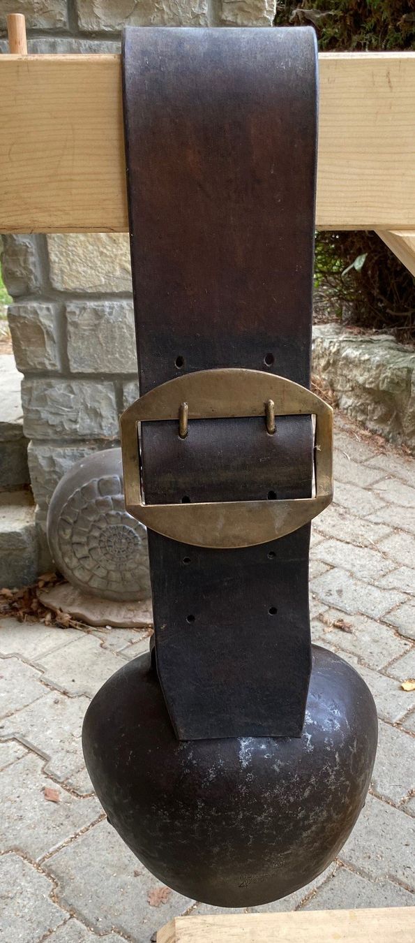 Morier Campanacci mucche: Treichel Morier 4 1/2 (Walliser Form) – Usato da Ependes FR venduto da Sigird71